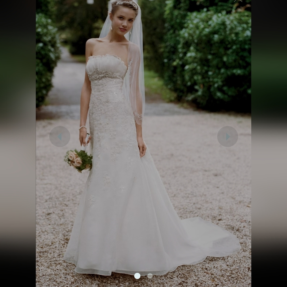 🧁 Organza Trumpet Gown with Embellished Lace